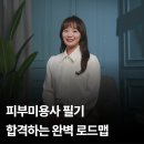 김효진뷰티네일 | 피부미용사 필기, 합격할 수 밖에 없는 완벽 로드맵 추천