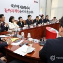 국민의힘 대선체제 전환에 잠룡들 출마채비…15명 육박 전망 이미지