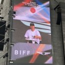 2023 부산국제영화제 후기