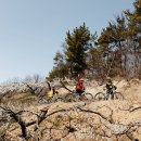 공세리농장 이미지