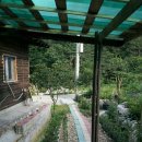 버들민박 이미지