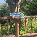 천지연 힐링센터 네이버블로그
