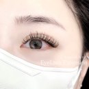 수원-0939 이미지