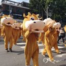 명품한우농장 이미지