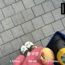 중곡문화체육센터 | 자유수영후기 | 광진구 일요일 자유수영 중곡문화체육센터