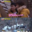 시영목장 이미지