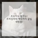 엘츠의원 이미지