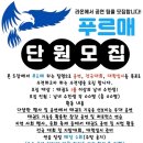 푸르매태권도 이미지