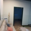 조종스크린골프