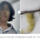 어린이집 교사에 똥 기저귀 던진 학부모…결국 재판 넘겨졌다 이미지