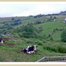 지평선목장 이미지