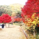 새문안로2길 이미지