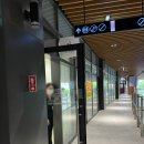 지니왁싱 | 신중동 왁싱 브라질리언 무통증 왁지니제모왁싱 후기