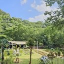 포레드노드 | [임실카페] 또 왔어요, 임실 최애 카페 '포레드노드' 내돈내산 후기!