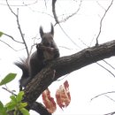 거제자연휴양림 이미지