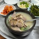 [용호동 밥집] “개미식당” 가성비 돼지국밥 7천원
