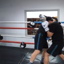 부산챔프복싱클럽 이미지