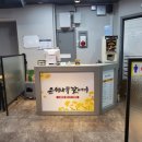 은행나무 갈매기 이미지