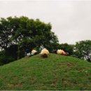 제주오케이렌터카 이미지