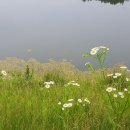 상지말저수지 이미지