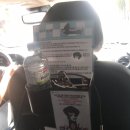 펫타고 | 펫택시 펫타고 이용하고 복돌이랑 한강다녀옴♥