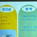 글로벌레인보우유치원 이미지