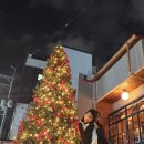 고담가택x와인보우