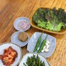 맛돼지 | 사상합천돼지국밥 주차장 웨이팅 가격 맛후기