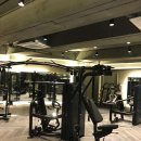 짐오브선셋 이미지