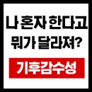 기후감수성 - 지구를 위한 작은 실천-텀블러 하나가 지구를 구한다