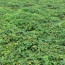 이대원농장 이미지