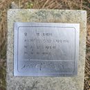 속리산 자생식물원 화장실 | 보은 속리산 테마파크(충북 보은군 속리산면 속리산로 600,갈목리 산 18-1)