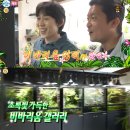 갤러리코쿤 이미지