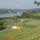 그린골프나주