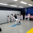 월드태권도장 이미지