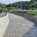 안성 월동천 이미지