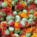 정남진농장 이미지