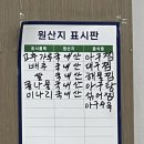 마산생아구찜 | 창원 아구찜 찐맛집 수향생아구찜｜마산 어시장 맛집 추천