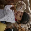 고은목장 이미지