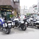 와일드모터스 이미지