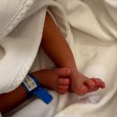 로즈마리산후조리원 | 대구 로즈마리병원 산후조리원 후기