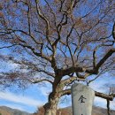 대전조돈길 이미지