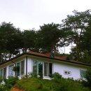 능암탄산온천 이미지