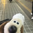 나이스뽑기방 이미지