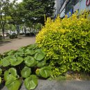 미모아피부과의원 이미지