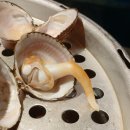 썬헬스클럽 이미지