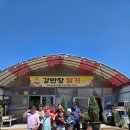 내곡초교 병설유치원 | 국가대표화랑관 테크노점, 새콤달콤 주말 딸기밭 체험 다녀왔어요! 🍓