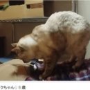 보은여관 이미지