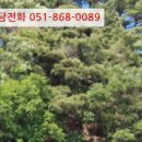 지방도905호선1 이미지