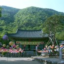 사나사 - 1160 | 사나사